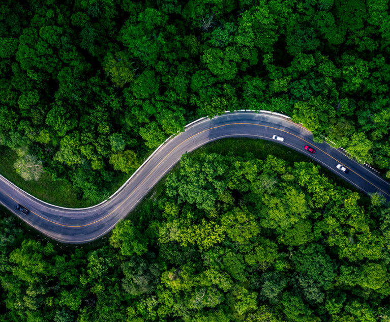 Aerial view of a winding asphalt road cutting through dense green forest, with several cars traveling along the curve.